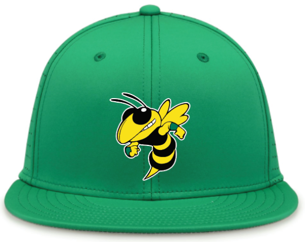 image (63) Hornets Baseball Hat
